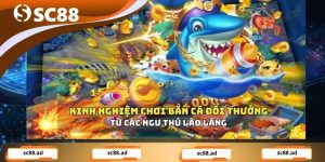 Bắn Cá SC88 – Săn Thưởng Cực Đã, Trải Nghiệm Giải Trí Đỉnh - ZONUPI