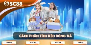 Thể Thao SC88 - SC88 AD - ZONUPI