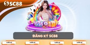 Hướng Dẫn SC88 - SC88 AD - ZONUPI