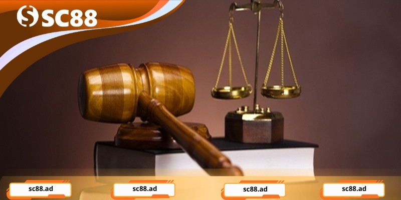 Quy Định SC88 - Khung Pháp Lý Minh Bạch Cho Mọi Hoạt Động - ZONUPI