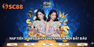 Hướng Dẫn SC88 - SC88 AD - ZONUPI