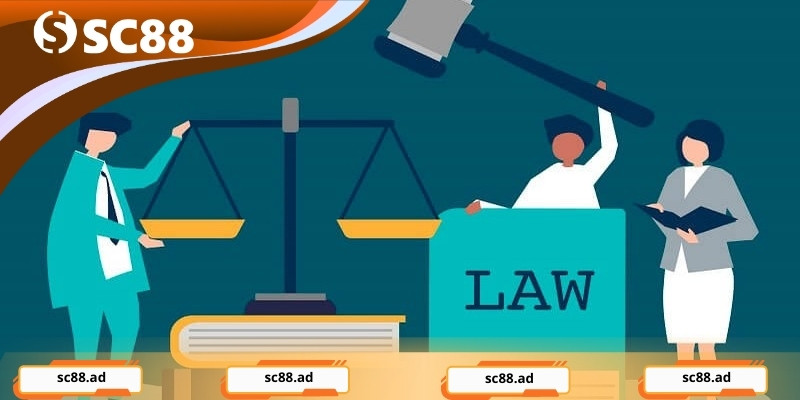 Điều Khoản Và Điều Kiện - Nền Tảng Minh Bạch Cho Bet Thủ - ZONUPI