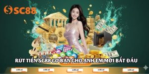 Hướng Dẫn SC88 - SC88 AD - ZONUPI