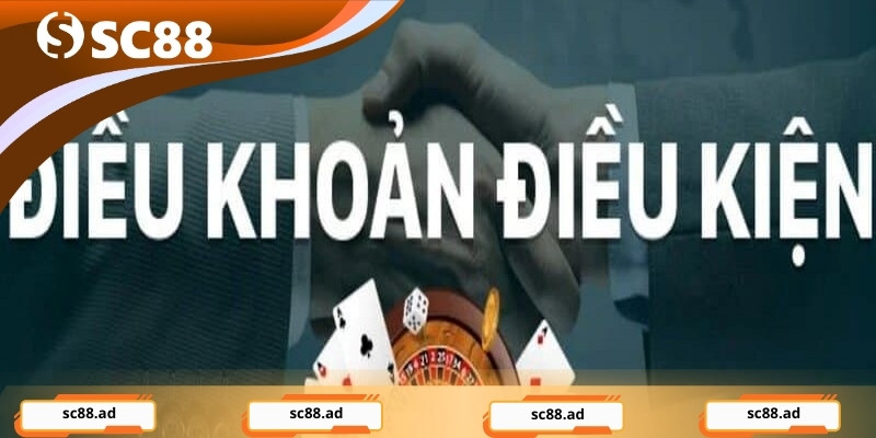 Điều Khoản Và Điều Kiện - Nền Tảng Minh Bạch Cho Bet Thủ - ZONUPI