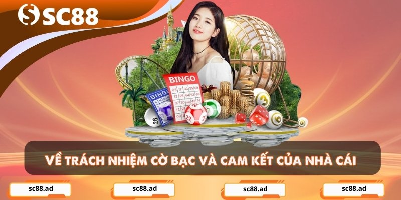 Trách Nhiệm Cờ Bạc - Xây Dựng Thói Quen Chơi An Toàn Bền Vững - ZONUPI