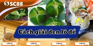 Xổ số Sc88: Kết quả nhanh, soi cầu chuẩn, dự đoán chính xác - ZONUPI