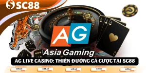 Casino SC88: Trải nghiệm sòng bài trực tuyến đẳng cấp nhất - ZONUPI