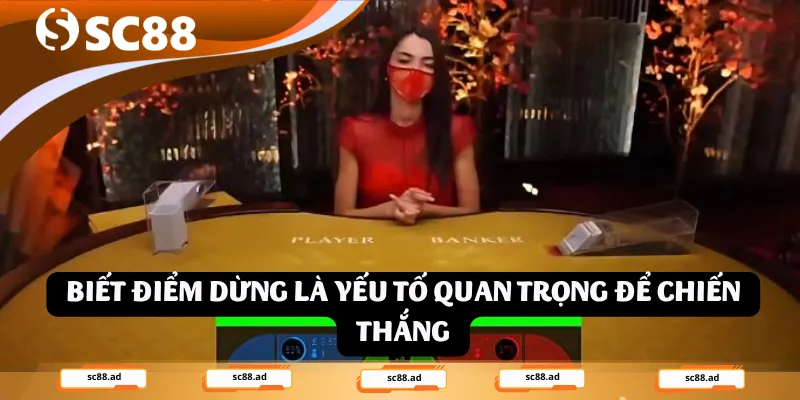 Bí Kíp Nhận Diện Cầu Bệt Baccarat Và Cách Thắng Đậm - ZONUPI