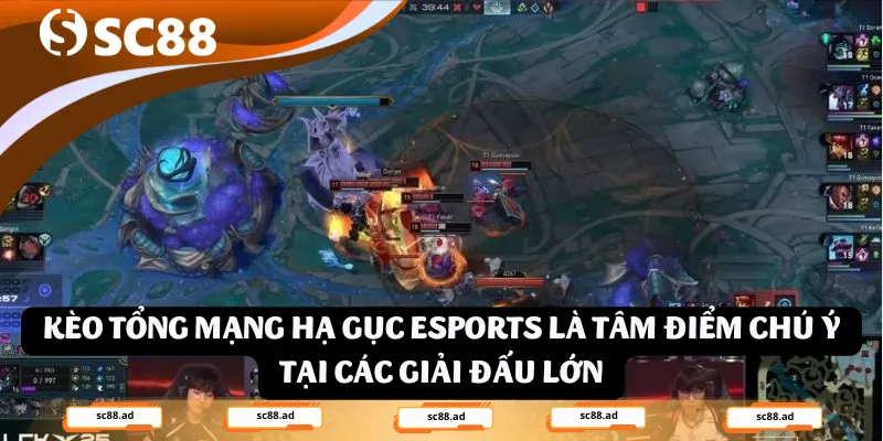 Kèo Tổng Mạng Hạ Gục Esports – Chinh Phục Mọi Giải Đấu - ZONUPI