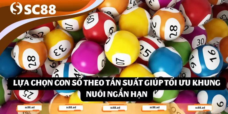 Cách nuôi lô đề ngắn hạn dài hạn hiệu quả mà ít ai biết tới - ZONUPI