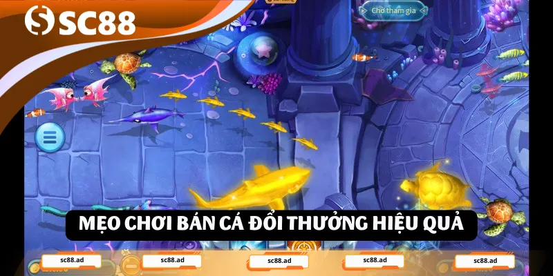 Nghệ Thuật Chinh Phục Bắn Cá Đổi Thưởng Tại SC88 - ZONUPI