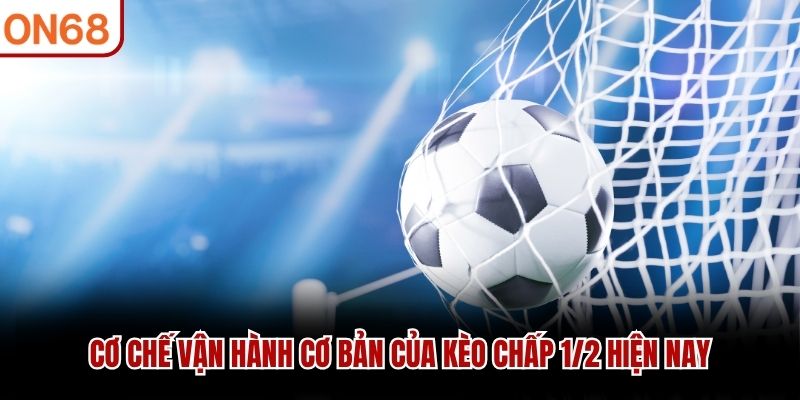 Kèo Chấp 1/2 – Tìm Hiểu Loại Kèo Phổ Biến Trong Bóng Đá 2026 - ZONUPI