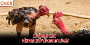 Đá Gà ON68 – Trực Tiếp Đá Gà Thomo, Campuchia1 Tỷ Lệ Cao - ZONUPI