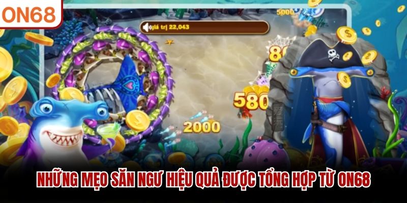 Bắn Cá Rùa Xanh - Săn Boss Khủng, Nhận Thưởng Lớn Nhất 2026 - ZONUPI