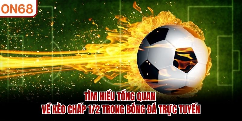 Kèo Chấp 1/2 – Tìm Hiểu Loại Kèo Phổ Biến Trong Bóng Đá 2026 - ZONUPI